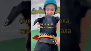 МЫ ДЛЯ НИХ ВСЯ ЖИЗНЬ 😢😢😢