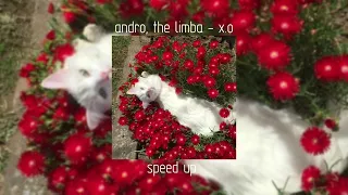andro, the limba - x.o | speed up