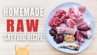 Simple Raw Food Recipe For Cats (Beginner Friendly)