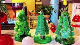 Magic Growing Crystal Christmas Tree Review 2021 - Best Christmas Gift Ideas