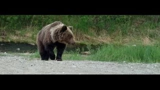 ПУТЕШЕСТВИЕ В ДЕБРИ СИБИРИ фильм второй