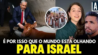 TODOS ESTÃO BUSCANDO INFORMAÇÕES SOBRE ISSO: NOVILHAS, LEVITAS, ISRAEL E TERCEIRO TEMPLO