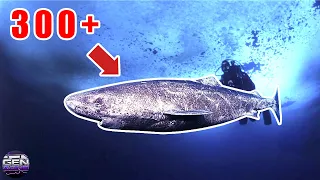 10 Oldest Living Creatures on the Earth