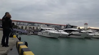 Сильный шторм в Сочи. Кефаль в морском порту