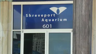 Shreveport Aquarium   2022  by TC Videos