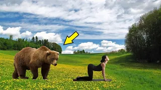 The story shocked the whole world! This is what the bear did to the girl in the forest!