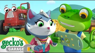 Hide and Seek with Gecko! | Animals for Kids | Funny Cartoons | Learn about Animals