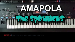 Amapola - The Spotnicks, Cover, mit titelbezogenem Style auf Yamaha Genos