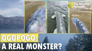 'Ogopogo': Is The Legendary Monster in Okanagan Lake Real?