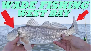 DOUBLED UP ON REDS !! | WADE FISHING GALVESTON WEST BAY SAN LUIS PASS | SPECK AND A SHEEPSHEAD TOO