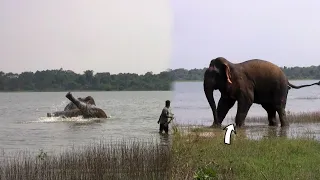 Injured Elephant sought the help of water to soothe the pain in his leg
