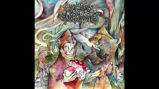 Hideous Gomphidius - Mycelial Emanations