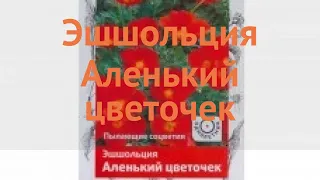 Эшшольция обыкновенная Аленький цветочек 🌿 обзор: как сажать, семена эшшольции Аленький цветочек