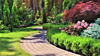 Отличные идеи для красивого оформления сада / Great examples of beautiful garden landscaping