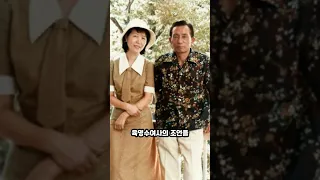 박정희 대통령이 적극적으로 밀어붙이자 나타난 기적같은 일