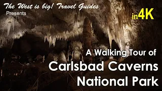 Walk Carlsbad Cavers National Park's Big Room