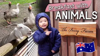 We visited an ANIMAL BRUNCH CAFE | Perth/Western Australia | Vlog #59