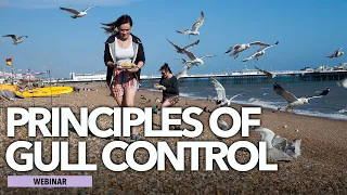 Principles of gull control for pest professionals
