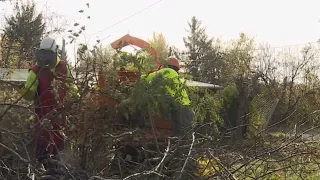 Lehet regisztrálni, kezdődik az ágaprítás