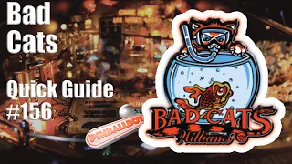 Bad Cats   I   Pinball Flipper