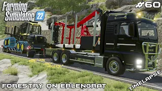 Buying a new EQUIPMENT for the FORESTRY | Forestry on ERLENGRAT | Farming Simulator 22 | Episode 60