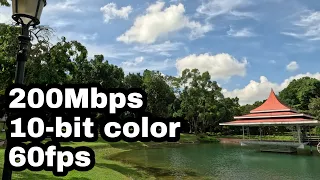 GoPro Hero 11 Mini 200mbps bitrate 5.3K 60fps 10-bit color MacRitchie Reservoir Park