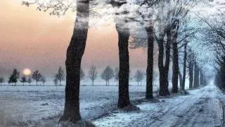 "Winter" Vivaldi