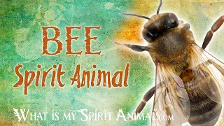 Bee Spirit Animal | Bee Totem & Power Animal | Bee  Symbolism & Meanings