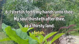 Psalm 143   (My Soul Thirsts for You)