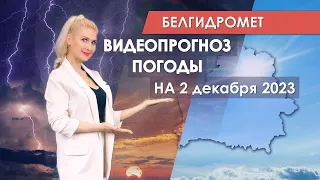 Видеопрогноз погоды по областным центрам Беларуси на 2 декабря 2023 года