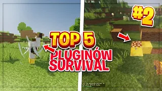 TOP 5 pluginów minecraft na serwer survival 1.19