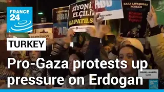 ‘Palestinians are not alone’: Pro-Gaza protesters take to streets in Turkey • FRANCE 24