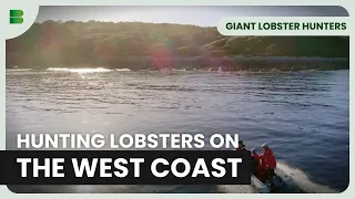 Hunting Lobsters on the Tasmania West Coast - Giant Lobster Hunters - Documentary