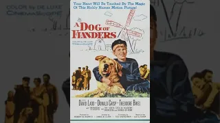 Heartwarming Tale of a Boy and His Dog: A Dog of Flanders (1959) Summary