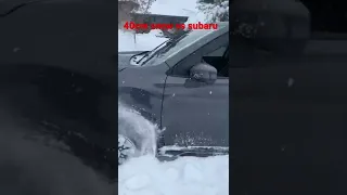 40cm snow vs subaru