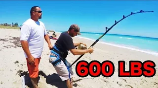 THEY SHOULD HAVE CLOSED THE BEACH!! (600 POUNDS)