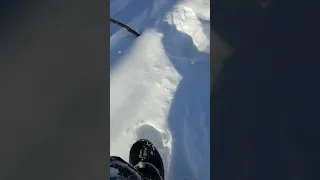 Giant footprints in snow (totally real) (2019)