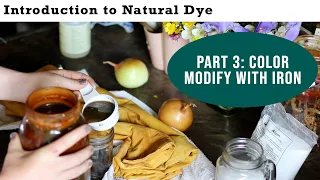 Natural Dye Basics part 3: color modifying with iron | Last Minute Laura