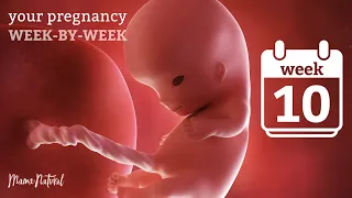 10 Weeks Pregnant - Natural Pregnancy Week-By-Week