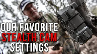 Our Favorite Stealth Cam Settings