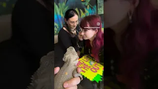 This Lizard Understands Human Speech! 😱 #spooky #funny #hilarious #pets #reptile #wow