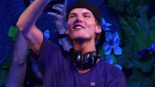 Avicii - Wake Me Up - Live at Tomorrowland, 27th July 2013