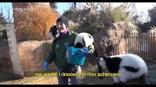 Il racconto dei mestieri: Animal Keeper