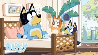 Compilação de episódios completos | Bluey Português Brasil Canal Oficial