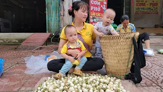 Warmth with children: Mother and children went to harvest eggplants to sell at the market