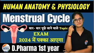 HAP - Menstrual Cycle | D.Pharma 1st year 2024 Important Topic | Human Anatomy and Physiology #hap