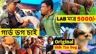 Galiff Street Pet Market Kolkata | Cheapest Dogs Market In India | Dog Price | Gallif street kolkata