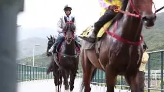 Magic Jockey - Joao Moreira