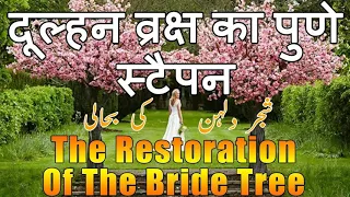 The Restoration Of The Bride Tree By William Branham Sermons Hindi Urdu | church tree | Jesus tree