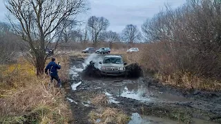 КОРОЛИ ЛАЙТОВОЙ ПОКАТУХИ! PRADO, НИВА, PAJERO, LAND ROVER